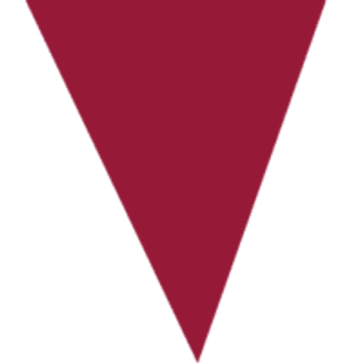 ATA Services Inc