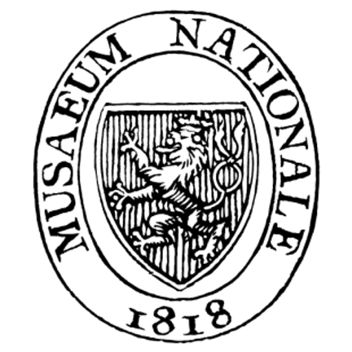 Strong National Museum